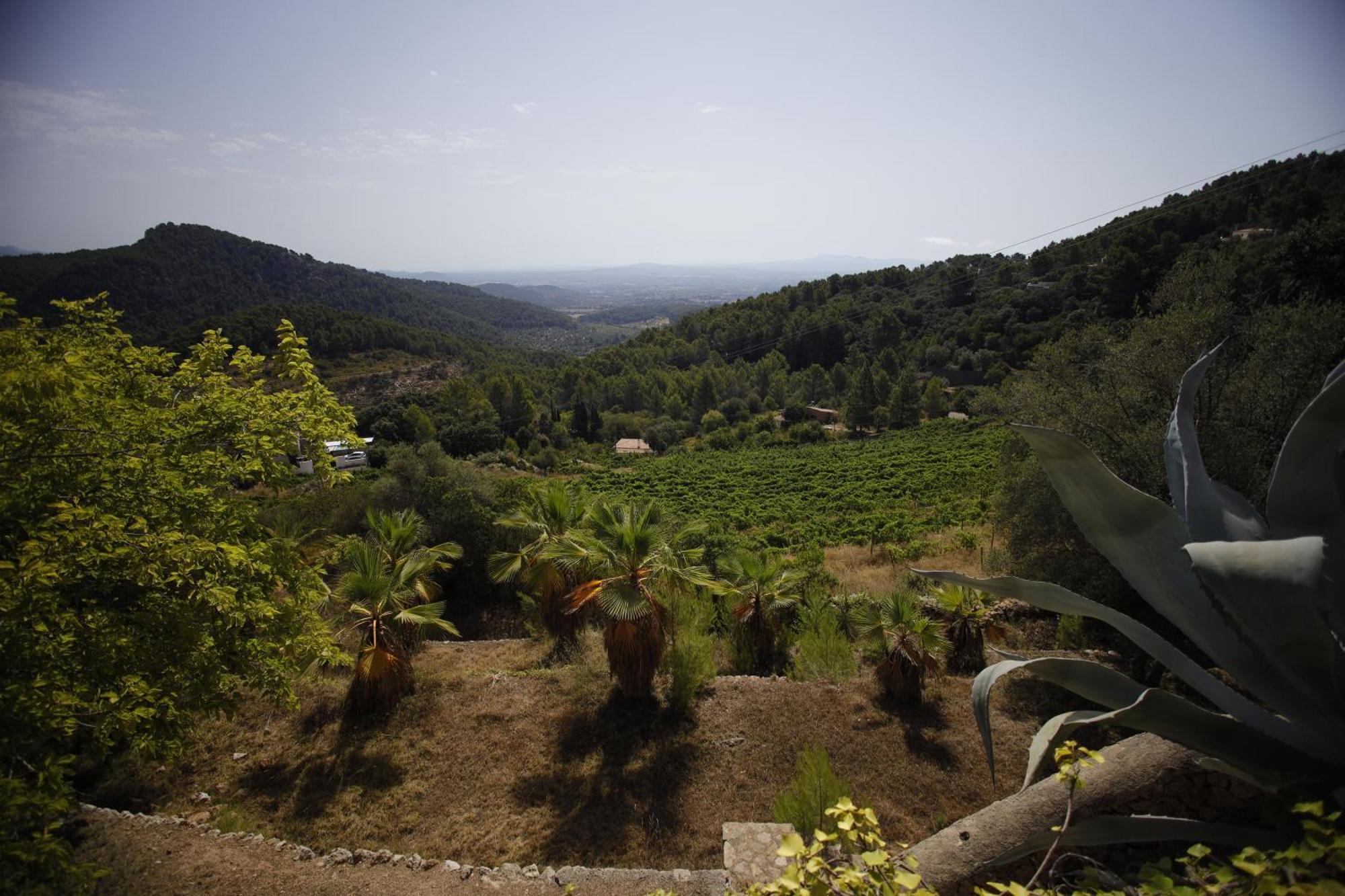 Posada Del Marques Esporles Kültér fotó